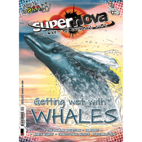 The cover art for Supernova volume 5.1, featuring a breaching whale.