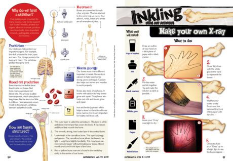 A spread of the Supernova Magazine about the human skeleton