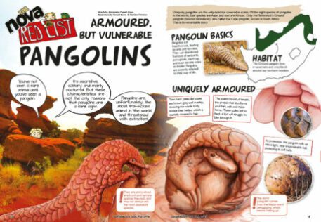 A spread of the Supernova Magazine about Pangolins.