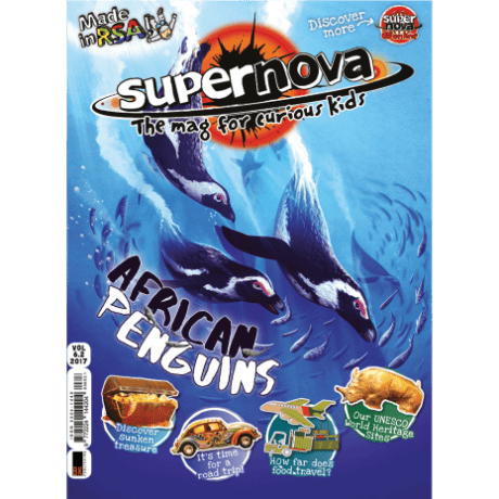 The cover art for Supernova volume 6.2, featuring African penguins.