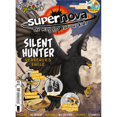 The cover art for Supernova volume 7.1, featuring a Verreaux's Eagle.