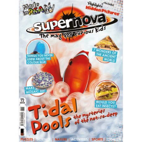 The cover art for Supernova volume 7.2, featuring a clown fish.