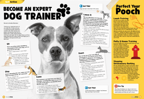 Become an expert dog trainer