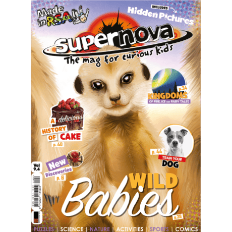 The cover art for Supernova volume 9.4, featuring a baby meerkat.