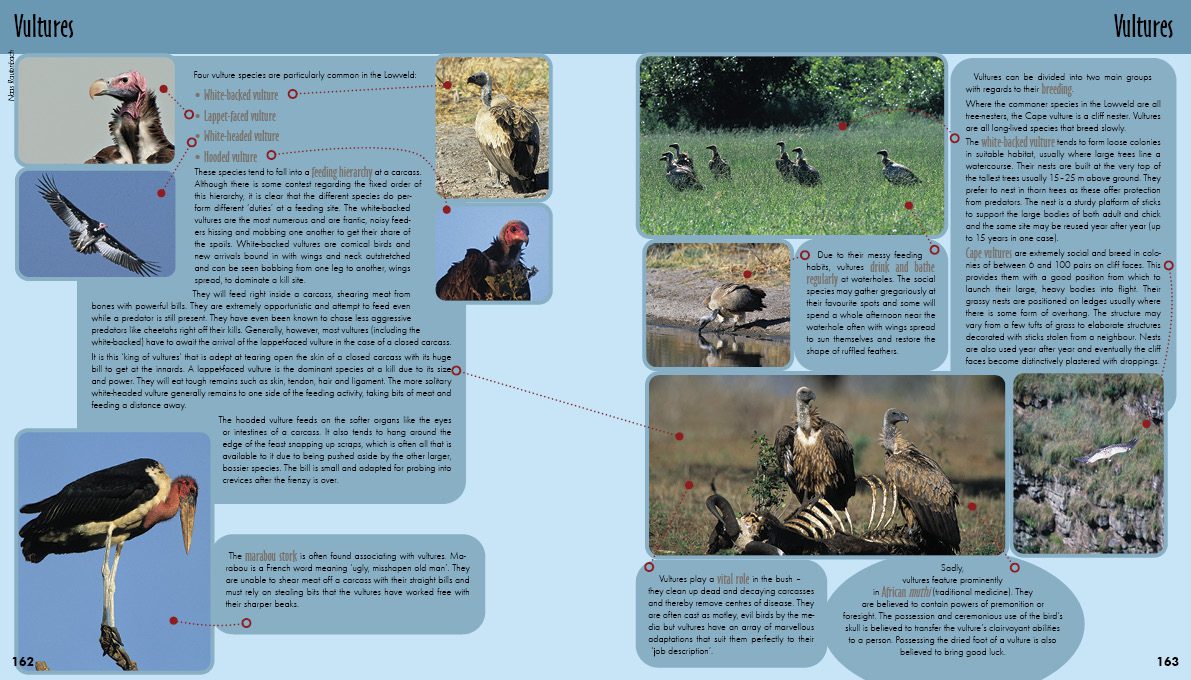 Game ranger spreads