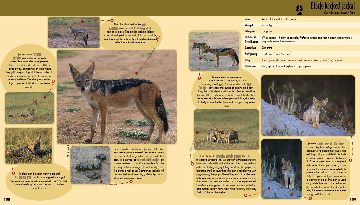 Game ranger spreads