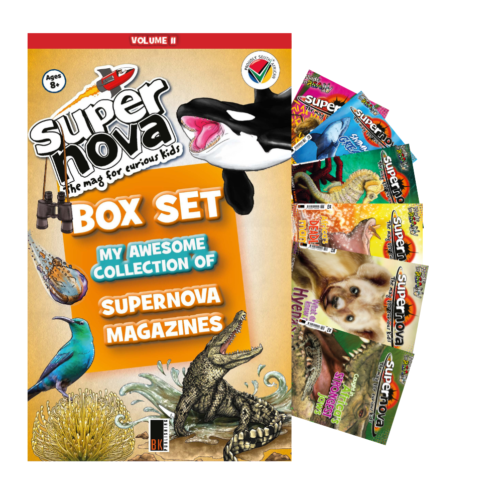 Supernova magazine volume 11 set