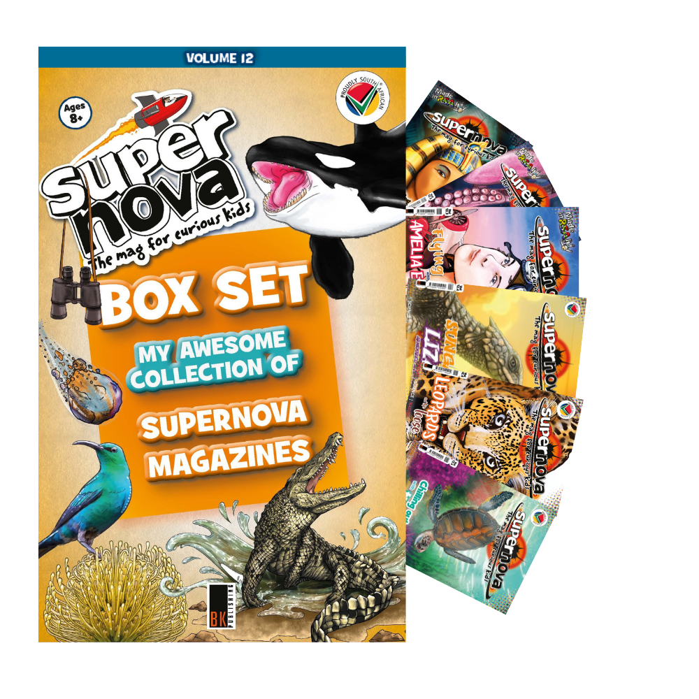Supernova magazine volume 12 set